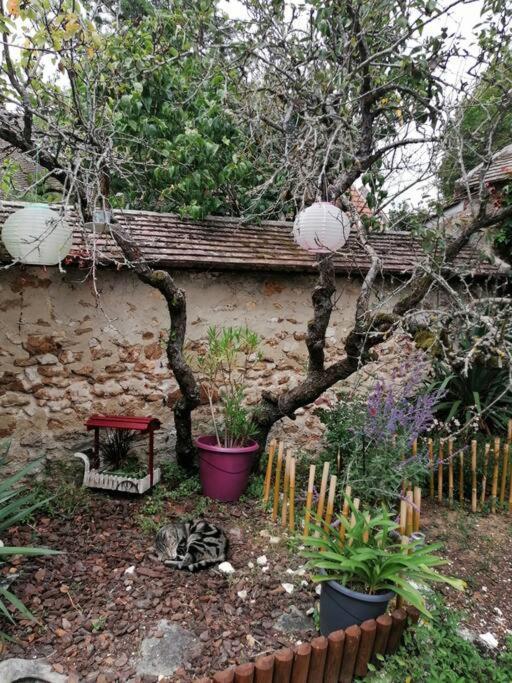 Maison A Proximite De Barbizon / Fontainebleau / A6 Saint-Sauveur-sur-Ecole Esterno foto